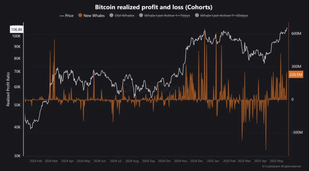 Bitcoin ATH Met With Mixed Whale Reactions – What’s The Market Signal?