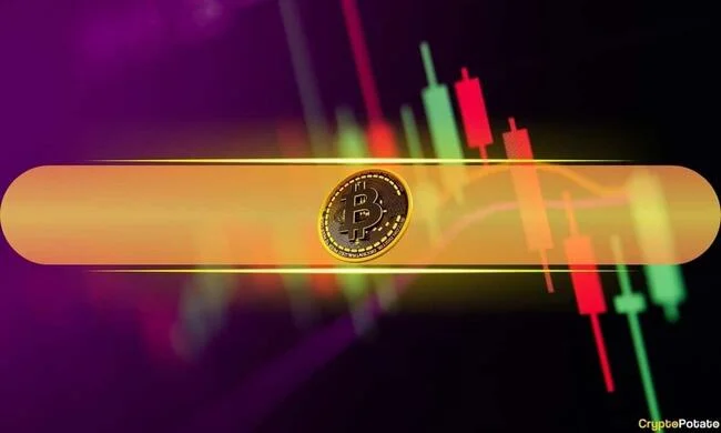 Bitcoin (BTC) Price Eyes $67K Again as Most Altcoins Turn Red (Market Watch)