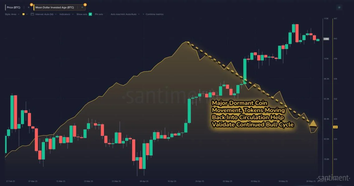 Bitcoin bull market 'great validator' comes as James Wynn loses $100M