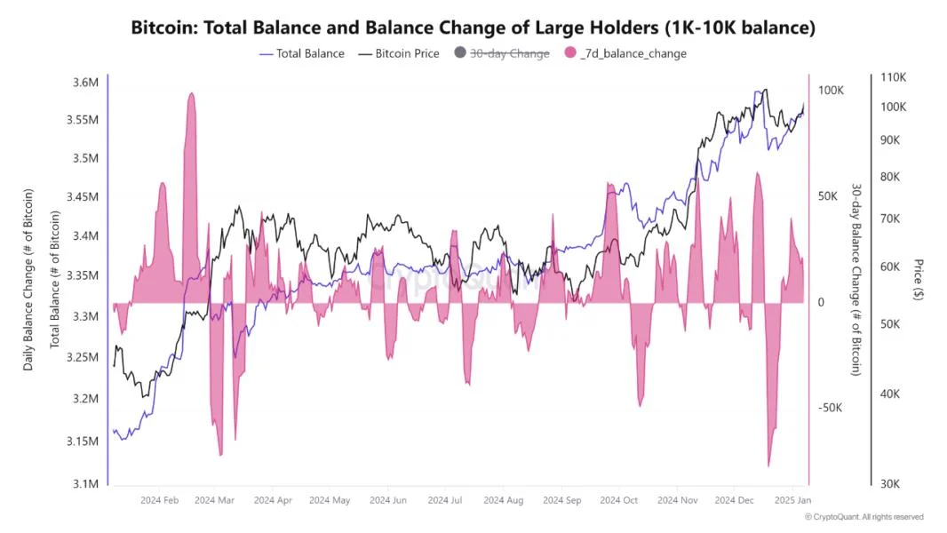 Bitcoin Faces Mixed Signals: Institutional Investors Accumulate Amid Retail Weakness