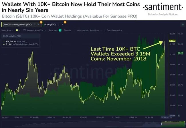 Bitcoin Mega Whale Holdings At Six-Year High After Recent Accumulation