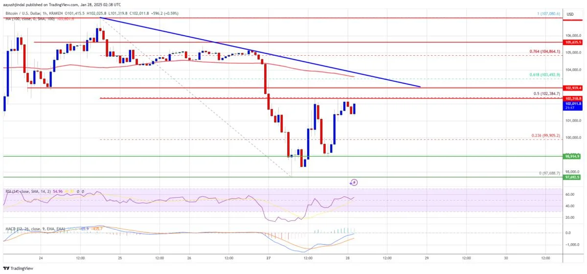 Bitcoin Price Bounce Back Might Be Short-Lived: Here’s Why