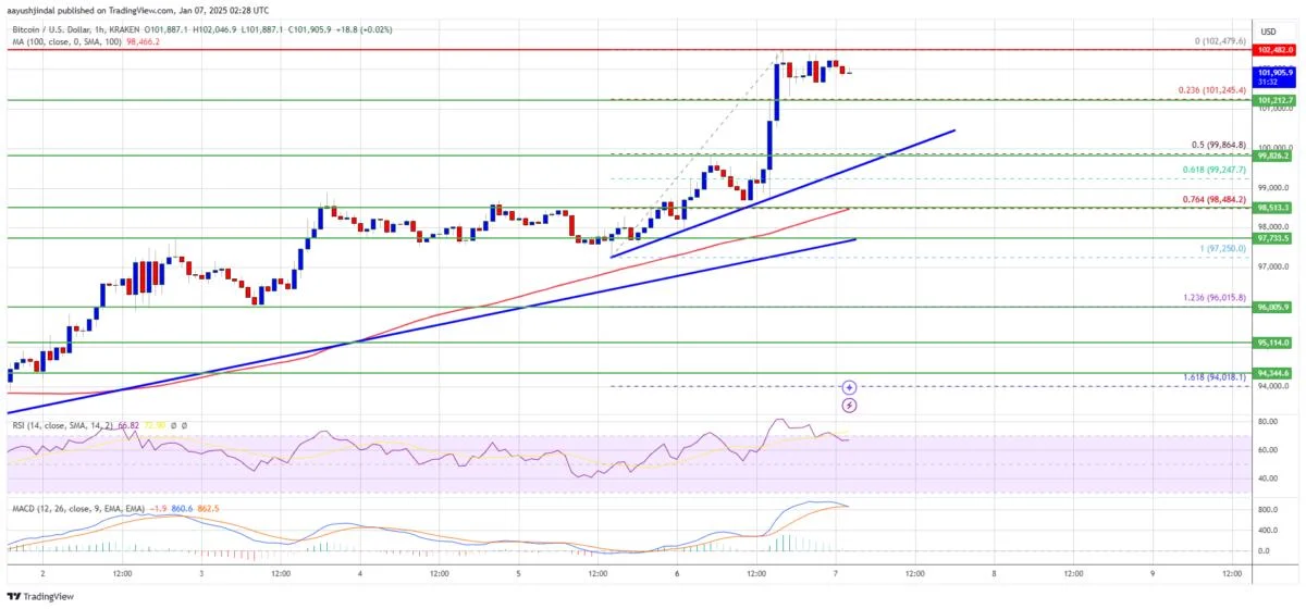 Bitcoin Price Breaks $100K: Bulls Set Their Sights Higher