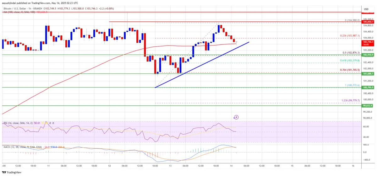 Bitcoin Price In Pause Mode While ETH Powers Higher — What’s Next?