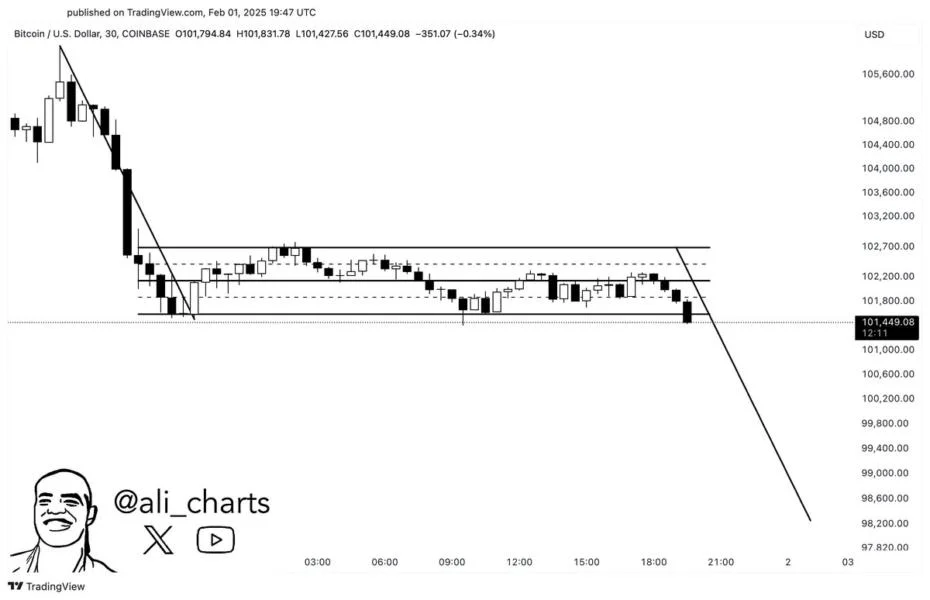 Bitcoin Price Is Trading In This Bearish Flag — What’s The Downside Target?