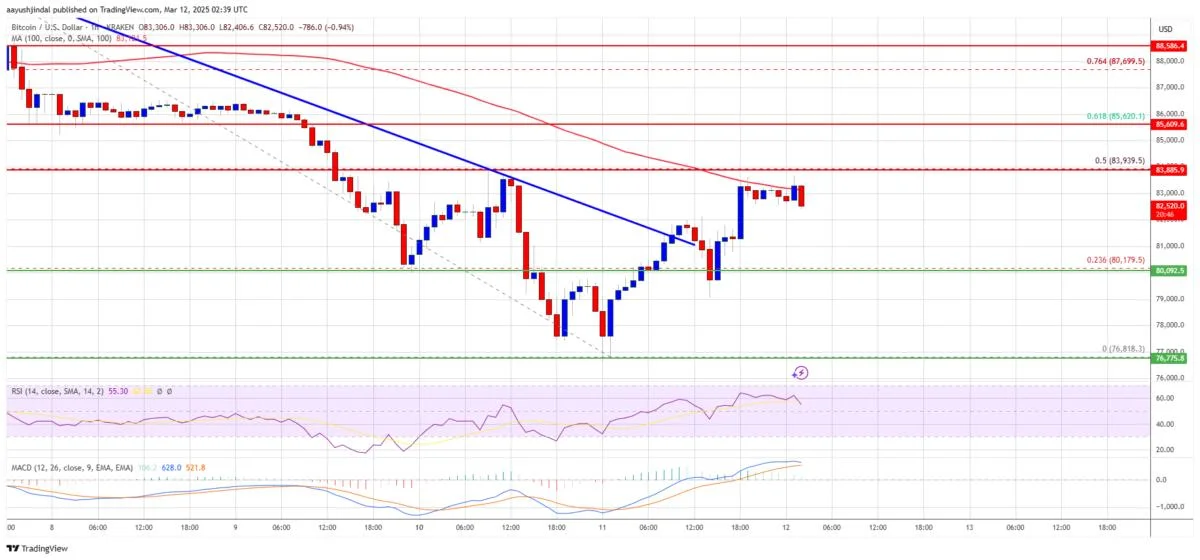 Bitcoin Price Recovers Some Losses—Is a Full Rebound in Sight?