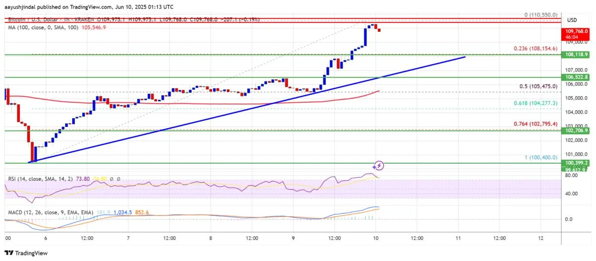 Bitcoin Price Rises Again—Are Bulls Charging Toward a New All-Time High?