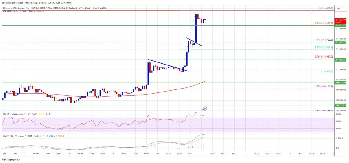 Bitcoin Price Rockets to Record High — Bulls Celebrate Milestone