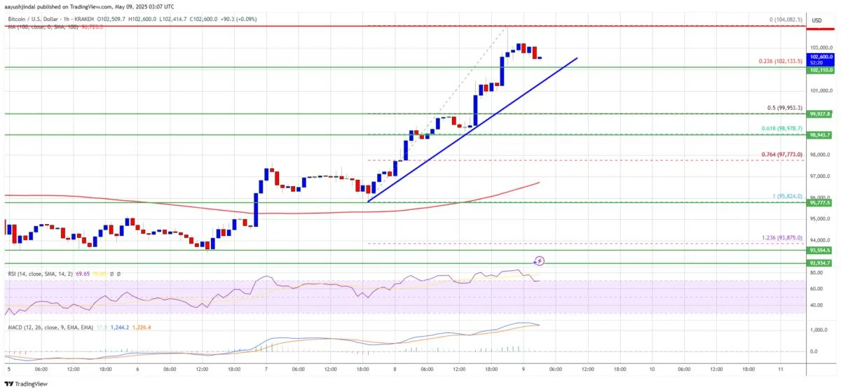 Bitcoin Price Surges Past $100K—Bull Market Officially Back?