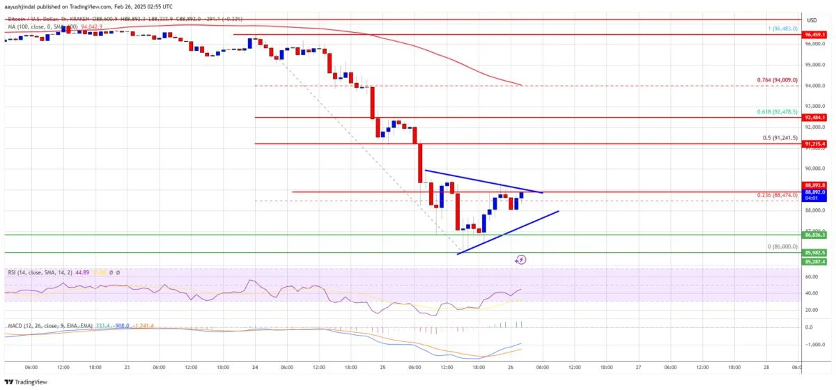 Bitcoin Price Takes a Hit—Is This Just the Beginning?