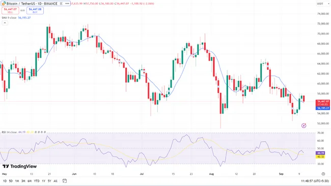 Bitcoin Price Today: After 118% Surge, What’s Next for BTC Price in 2024?