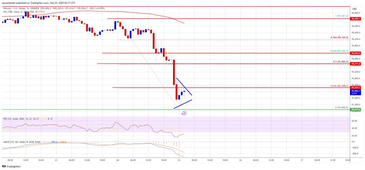 Bitcoin Price Tumbles 5%—Key Support Levels in Focus