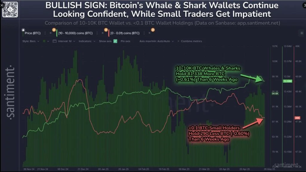 Bitcoin Rebounds After Sharp Drop As Whales Fuel Push Toward $100K