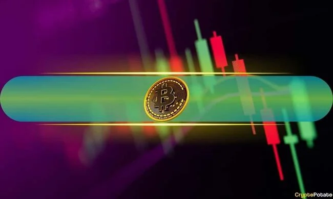 Bitcoin Recovers Above $56K as Altcoins Also Bounce: Weekend Watch