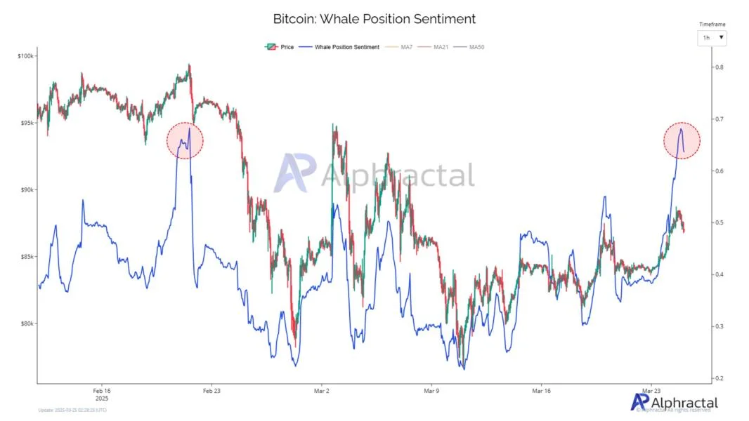 Bitcoin sellers lurk in $88K to $90K zone — Is this week’s BTC rally losing steam?
