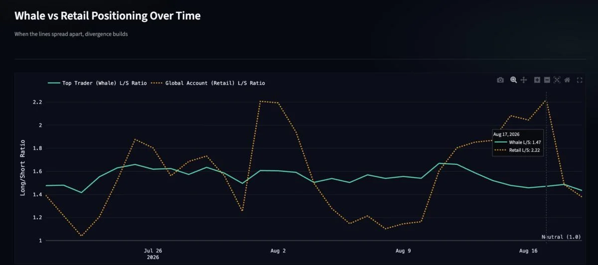 Bitcoin Traders Made Their Boldest Bet in 20 Months: What Happens Next?