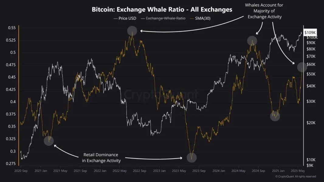 Bitcoin Whale Activity Signals Warnings for the Market | Weekly Whale Watch