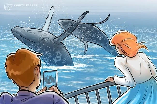 Bitcoin whale transactions see ‘noticeable’ drop since March price peak