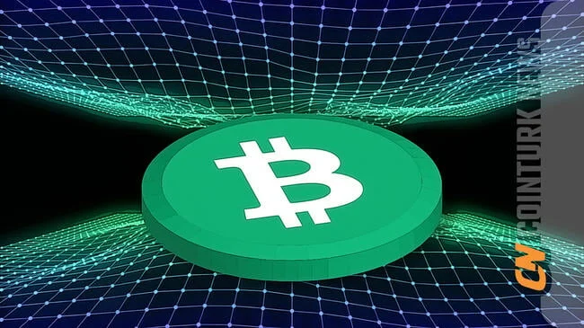 Bitcoin Whales Accumulate Despite Recent Selling Pressure