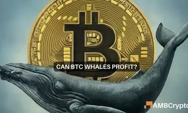 Bitcoin whales ‘buy the dip’ to leave retail investors…
