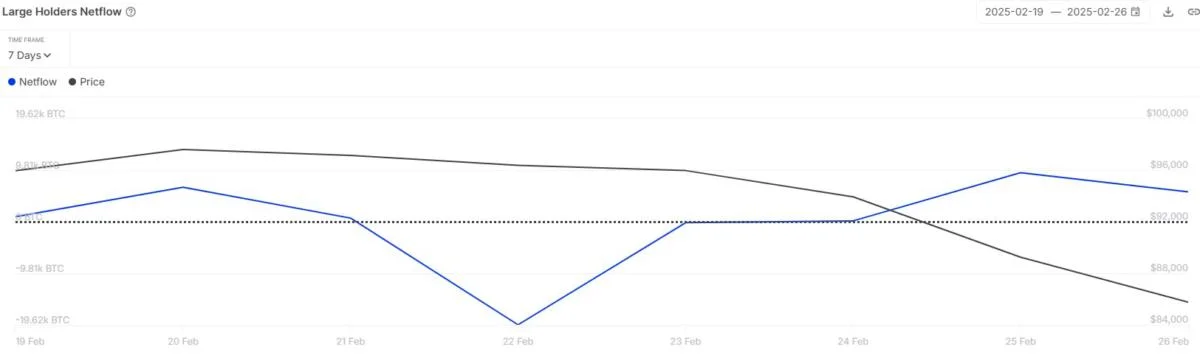 Bitcoin Whales Buying The Dip: $1.28 Billion Added Below $90,000