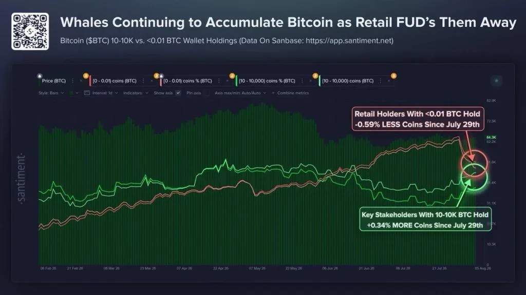Bitcoin Whales Scoop Up Over $127M in BTC as Retail Sells—Can BTC Price Break Above $67,000?