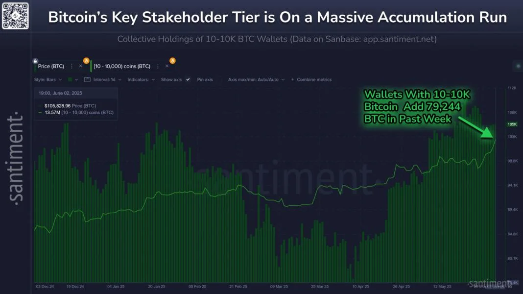 Bitcoin’s Key Investors Double Down, Buy Another 79,000 BTC