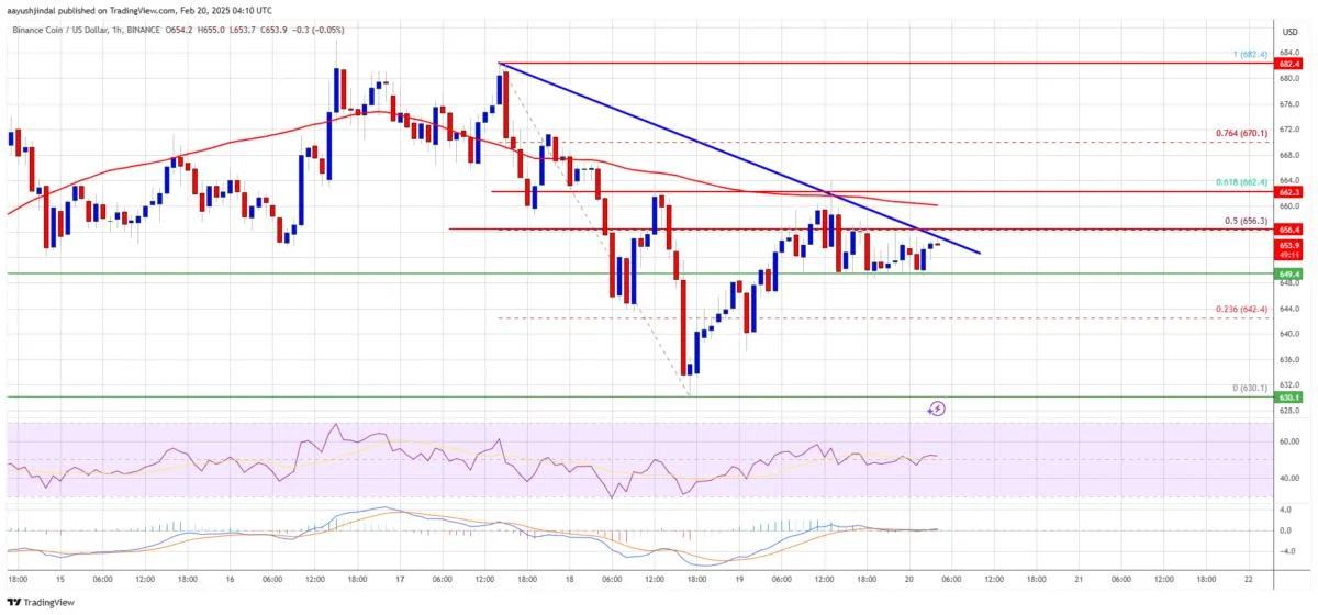 BNB Price Approaches a Key Level—Can It Clear the Hurdle?