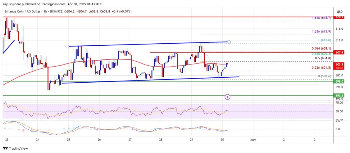 BNB Price Coils at Support — Bounce Looks Ready to Launch