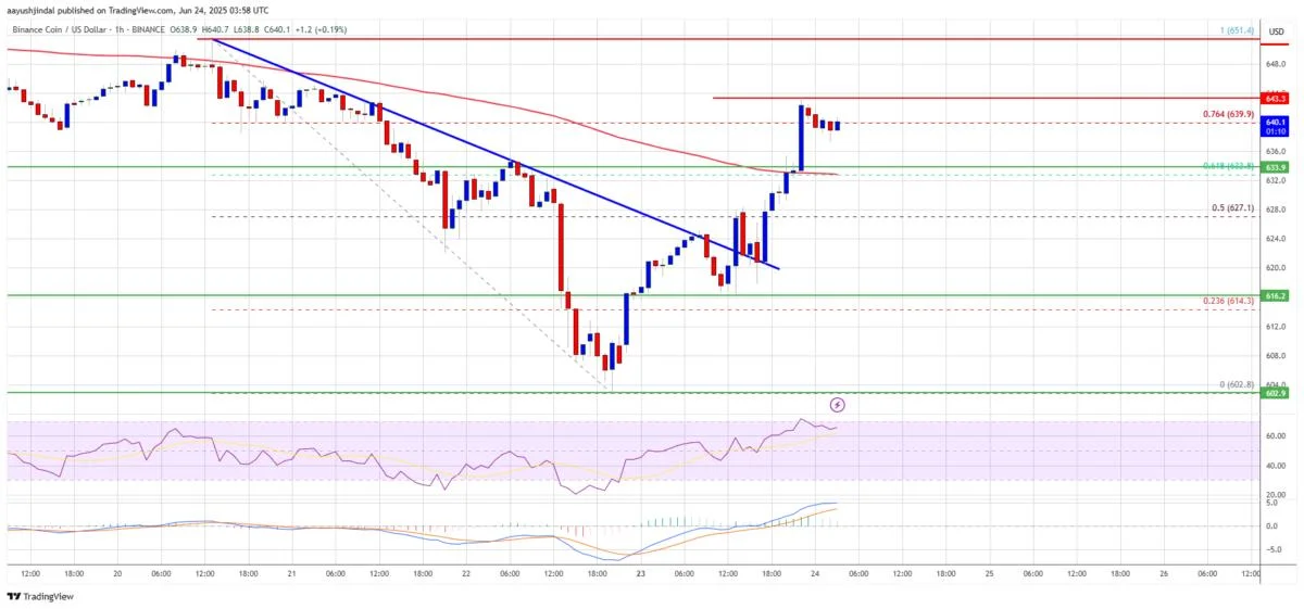 BNB Price Gathers Strength — Upside Potential Looms