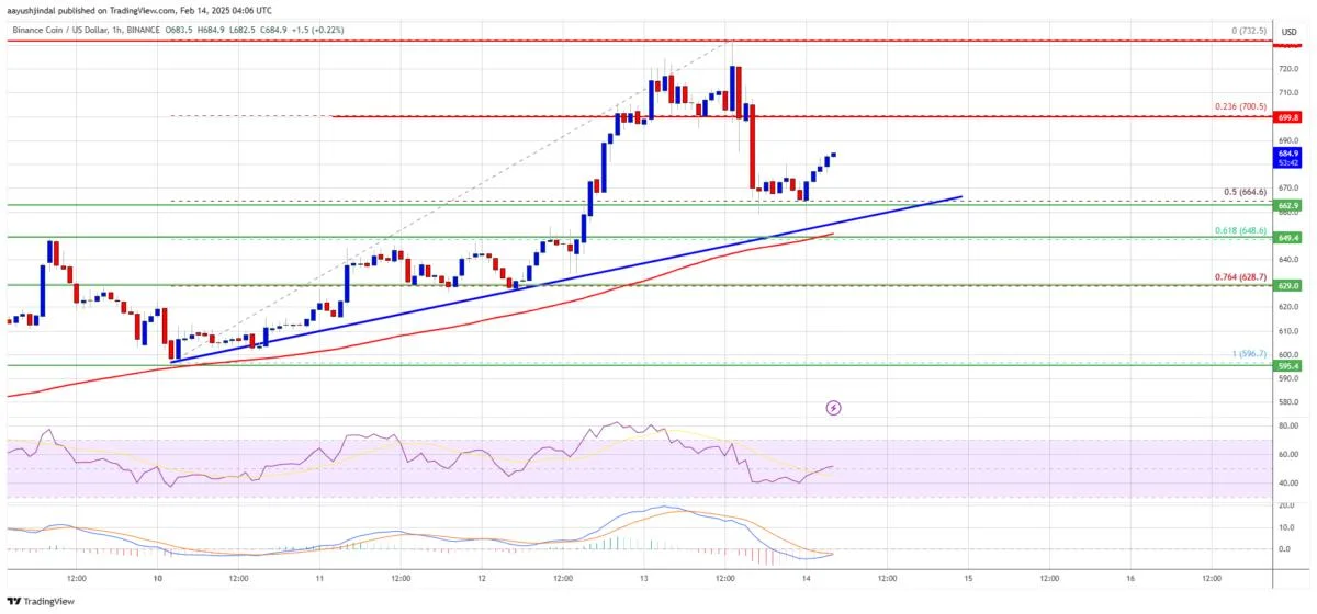 BNB Price Reignites Momentum—Can It Push to New Highs?