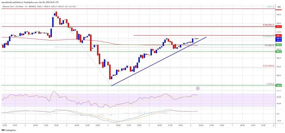 BNB Price Starts Fresh Increase—Can Bulls Sustain the Momentum?