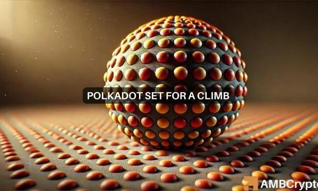 Can Polkadot’s recovery propel it to new heights?