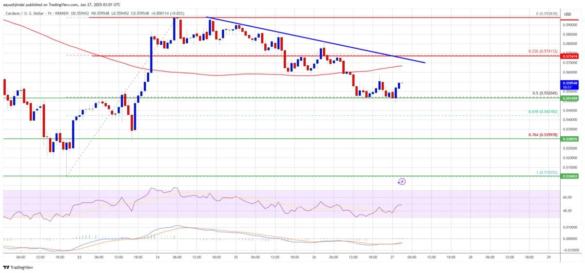 Cardano (ADA) Bears Active β Token at Risk of Another Leg Down