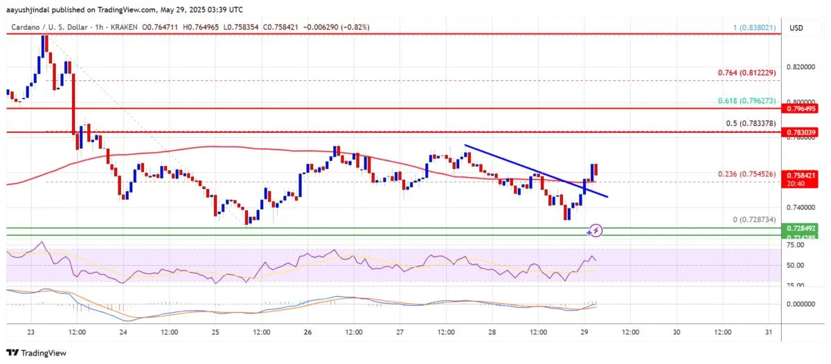 Cardano (ADA) Capped Below Resistance β Will Buyers Regain Control?