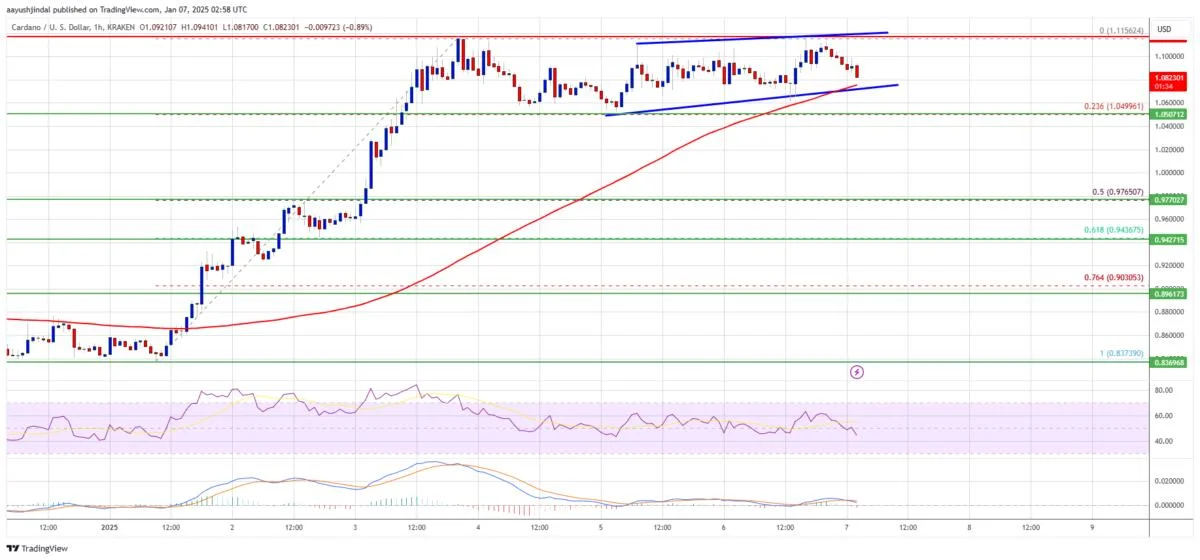 Cardano (ADA) Momentum Builds: Rally Has More Room to Run