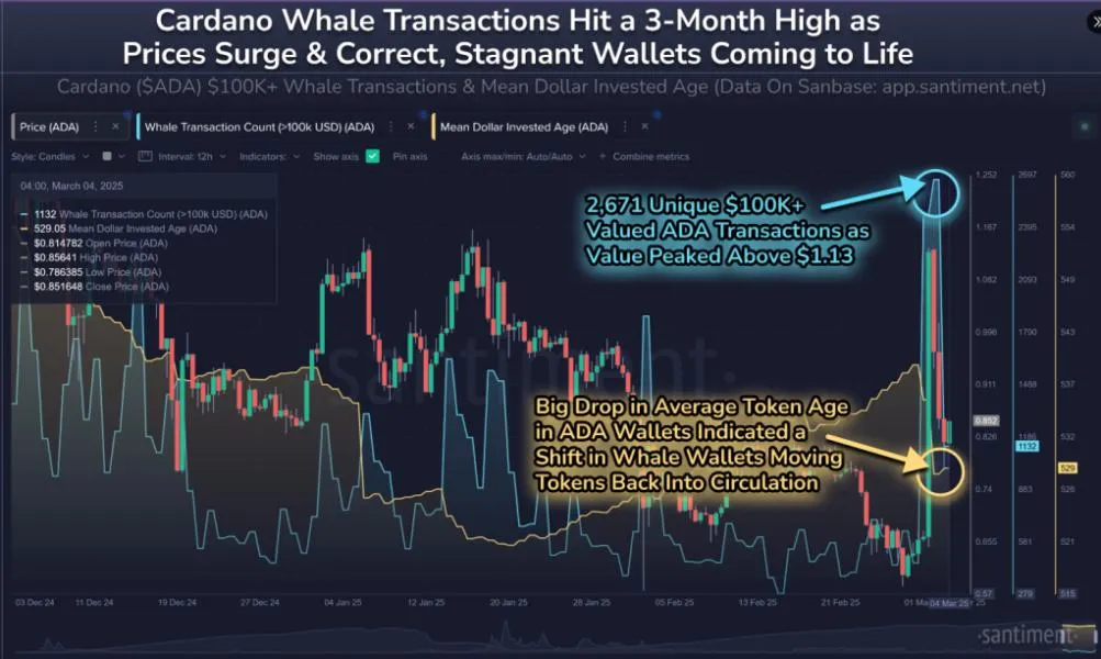 Cardano (ADA) Soars As Whale Activity Hits 3-Month High—What’s Next?