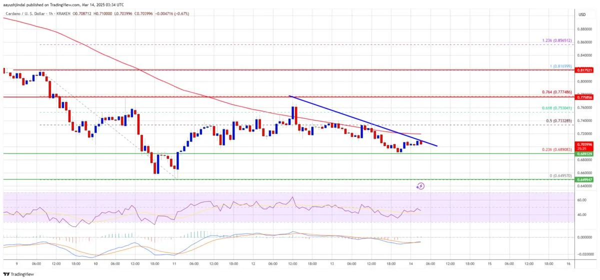 Cardano (ADA) Struggle Persists—Is a Rebound Still Possible?