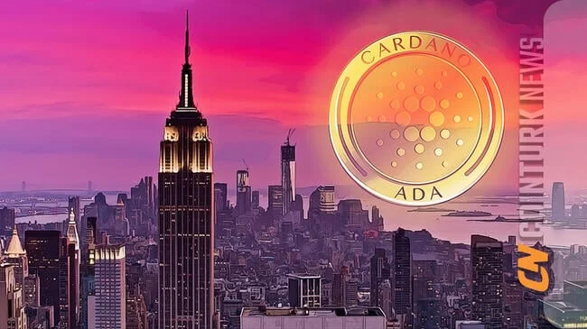 Cardano Investors Anticipate Price Increase