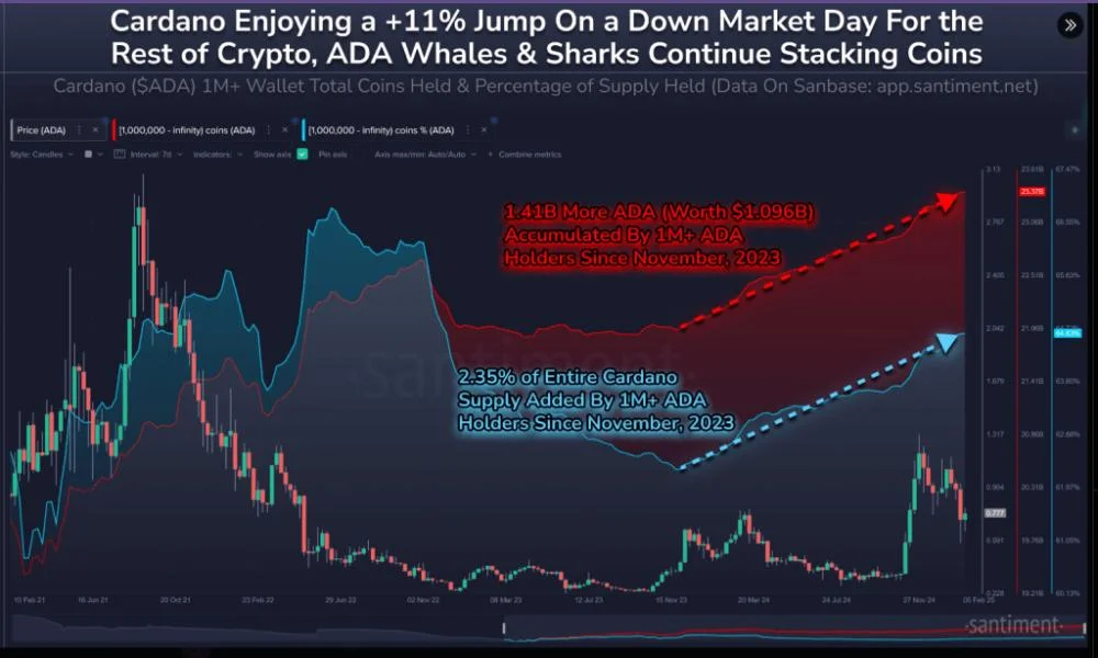 Cardano Price Balloons 107% As Whales Scoop Up 1.41 Billion ADA