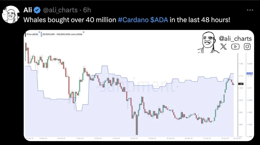 Cardano Price Witnesses Bullish Resurgence With 26% Rally — Here’s The Likely Catalyst