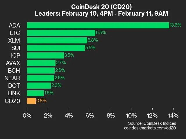 CoinDesk 20 Performance Update: Cardano (ADA) Jumps 13.6%, Leading Index Higher