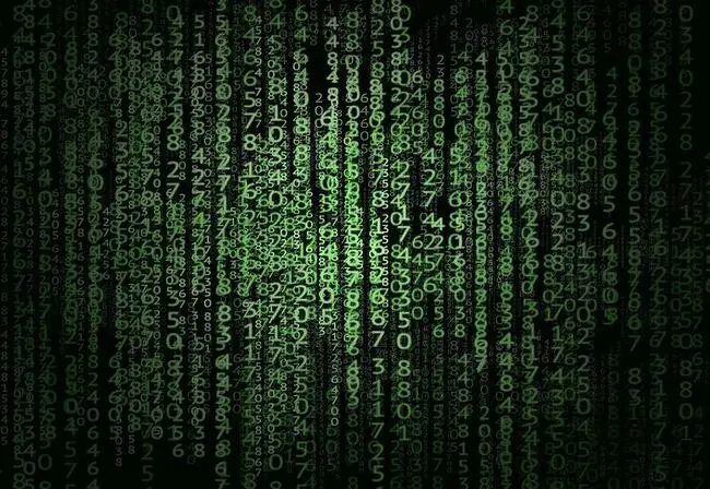 Crypto community brace for presidential election, upcoming debate stirs attention