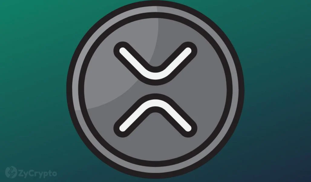 Crypto Hedge Funder Slams Ripple’s XRP As A Meme Coin With No Utility; Here’s Why
