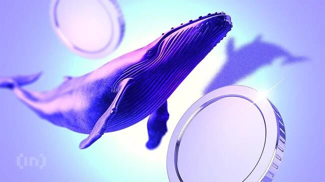 Crypto Whales Bought These Altcoins in the Third Week of July 2024