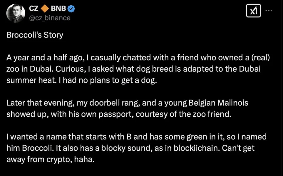 CZ’s dog’s name sparks ‘Broccoli’ memecoin frenzy