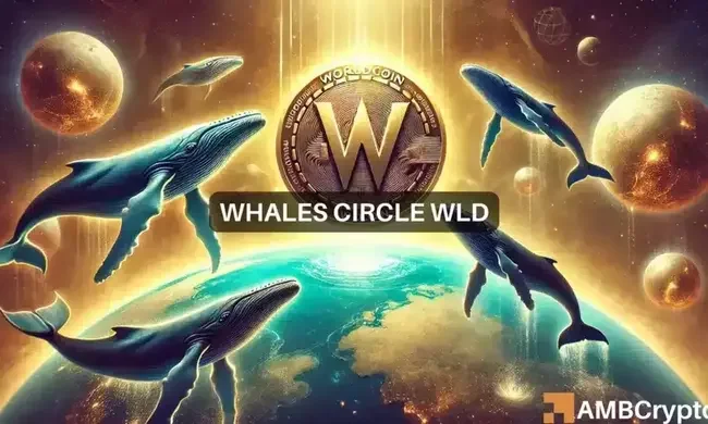 Despite whale interest, Worldcoin fails to break out – Why?