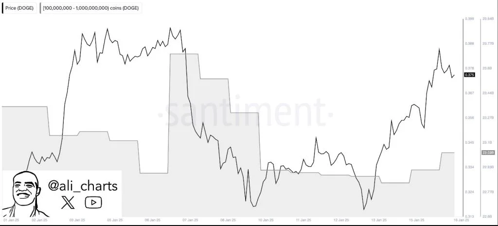 Dogecoin Bulls Eye $3 As Whales Scoop 200 Million DOGE In The Last 2 Days