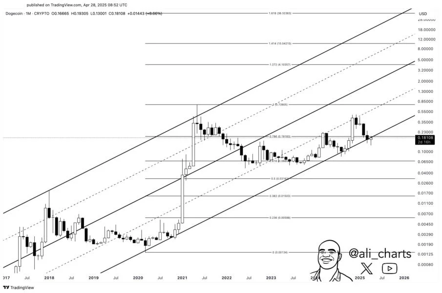 Dogecoin Could Rally To $0.74 ATH If Price Closes Month Above This Level, Analyst Says