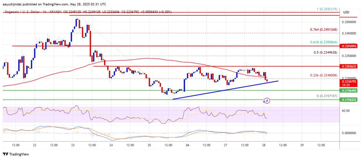 Dogecoin (DOGE) at Risk — Can Support Hold This Time?